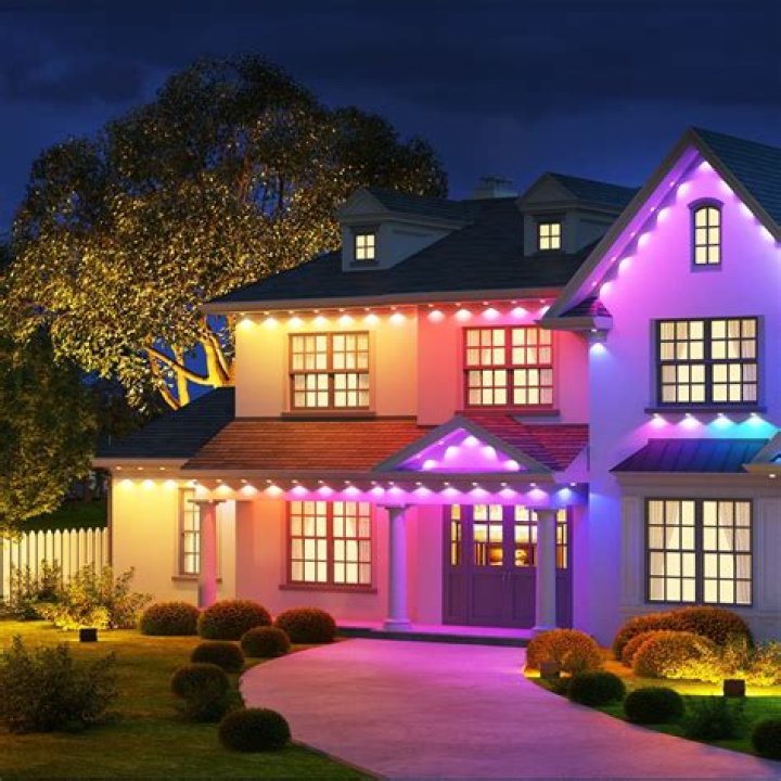 Lights Lights