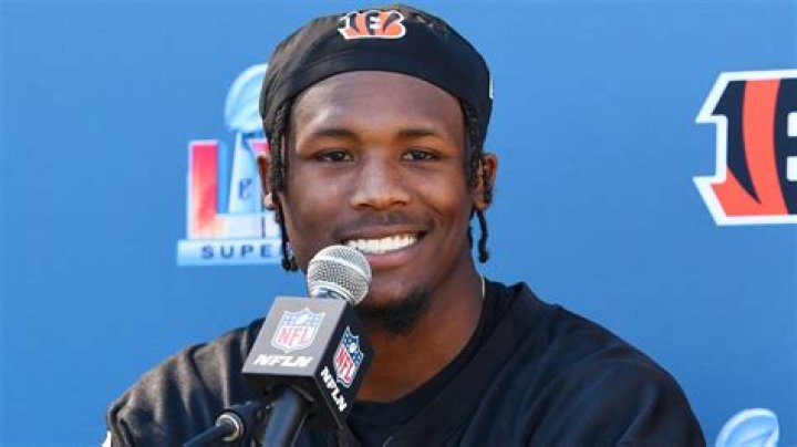 Tee Higgins Net Worth 2024